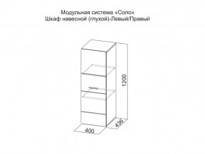 Шкаф навесной (глухой) Левый в Туринске - turinsk.магазин96.com | фото