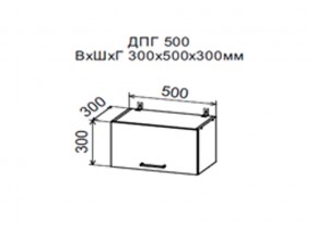 Шкаф верхний ДПГ500 горизонтальный в Туринске - turinsk.магазин96.com | фото