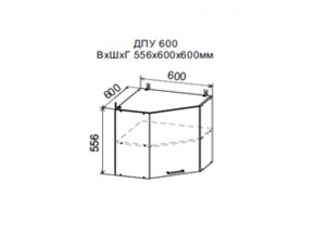 Шкаф верхний ДПУ600 угловой в Туринске - turinsk.магазин96.com | фото