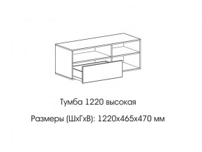 Тумба 1220 (высокая) в Туринске - turinsk.магазин96.com | фото